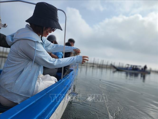 Huế và hành trình đánh thức tiềm năng du lịch xanh đầm phá - Ảnh 3. Huế và hành trình đánh thức tiềm năng du lịch xanh đầm phá - Ảnh 3.
