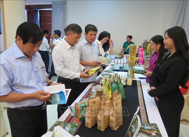 Kết nối, hợp tác phát triển du lịch Quảng Ngãi - Ảnh 2. Kết nối, hợp tác phát triển du lịch Quảng Ngãi - Ảnh 2.
