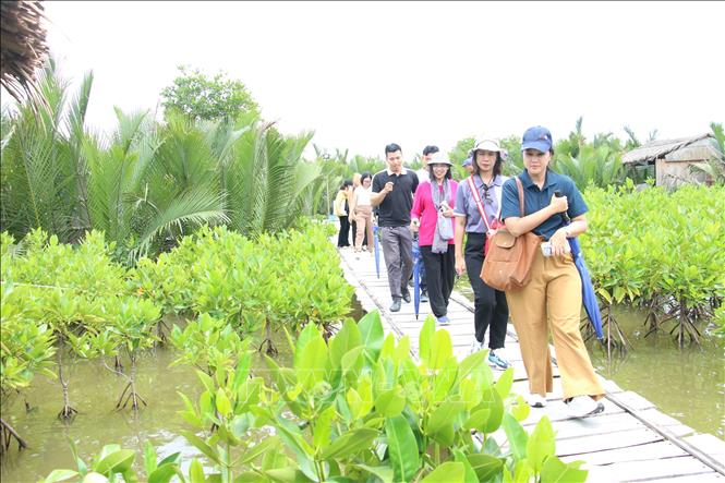 Vĩnh Long: Xu hướng xanh hóa trong ngành 'công nghiệp không khói' - Ảnh 3. Vĩnh Long: Xu hướng xanh hóa trong ngành 'công nghiệp không khói' - Ảnh 3.