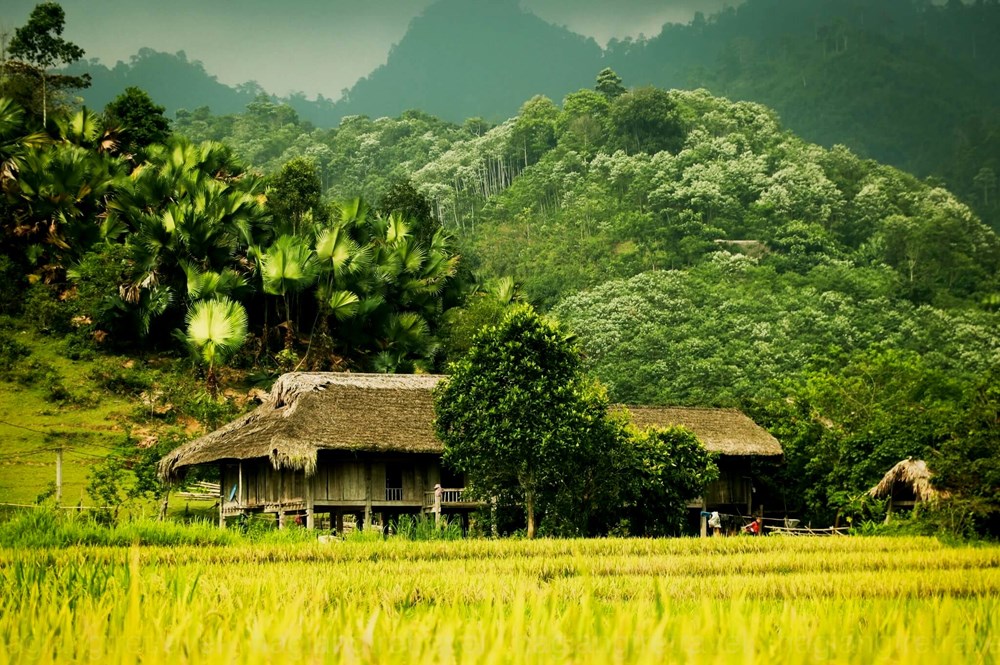 Du lịch Việt Nam và bài toán phát triển bền vững - Ảnh 1. Du lịch Việt Nam và bài toán phát triển bền vững - Ảnh 1.
