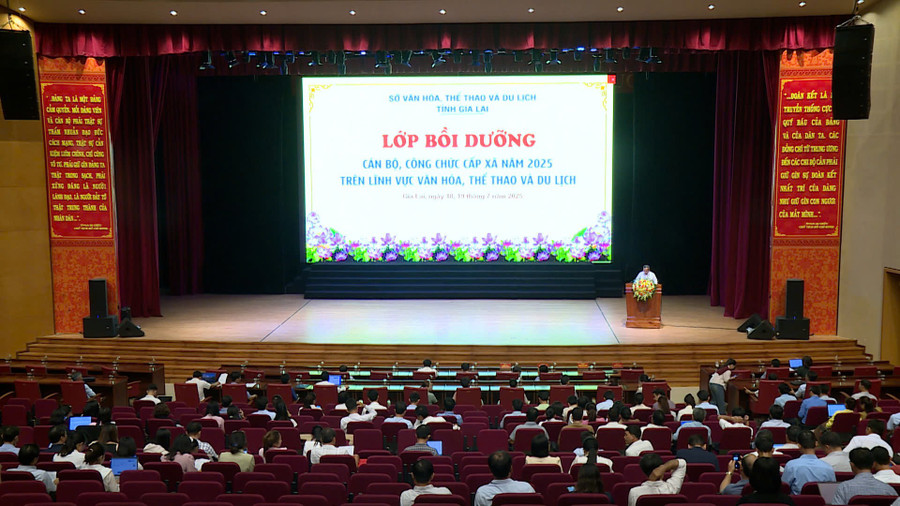 Gia Lai: 300 cán bộ, công chức cấp xã được bồi dưỡng về lĩnh vực văn hóa, thể thao và du lịch - Ảnh 1.