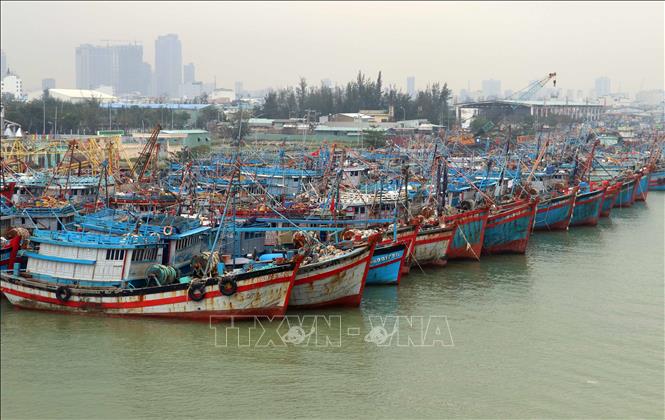 Đà Nẵng: Chủ động triển khai các biện pháp ứng phó với bão số 3 - Ảnh 1. Đà Nẵng: Chủ động triển khai các biện pháp ứng phó với bão số 3 - Ảnh 1.