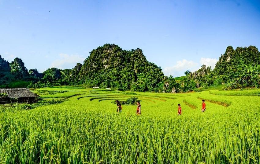 Điện Biên: Phấn đấu trở thành điểm sáng phát triển du lịch cộng đồng giàu bản sắc - Ảnh 6. Điện Biên: Phấn đấu trở thành điểm sáng phát triển du lịch cộng đồng giàu bản sắc - Ảnh 6.
