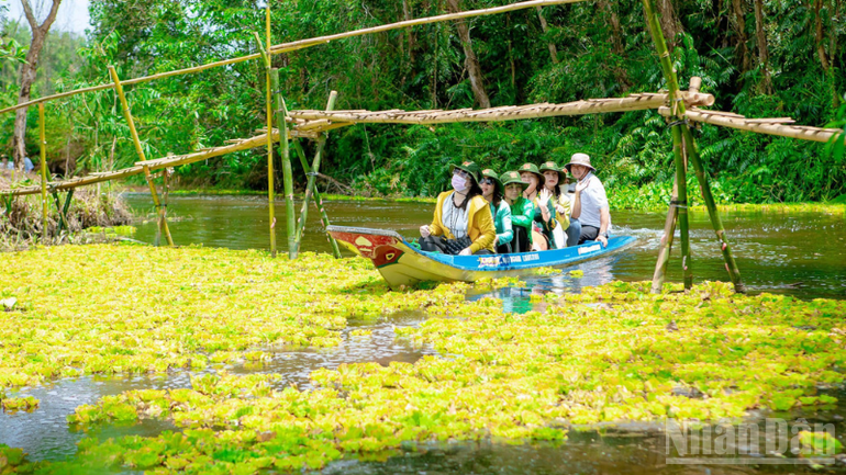 Cần Thơ: Phát triển du lịch bền vững gắn với bảo tồn thiên nhiên - Ảnh 2. Cần Thơ: Phát triển du lịch bền vững gắn với bảo tồn thiên nhiên - Ảnh 2.