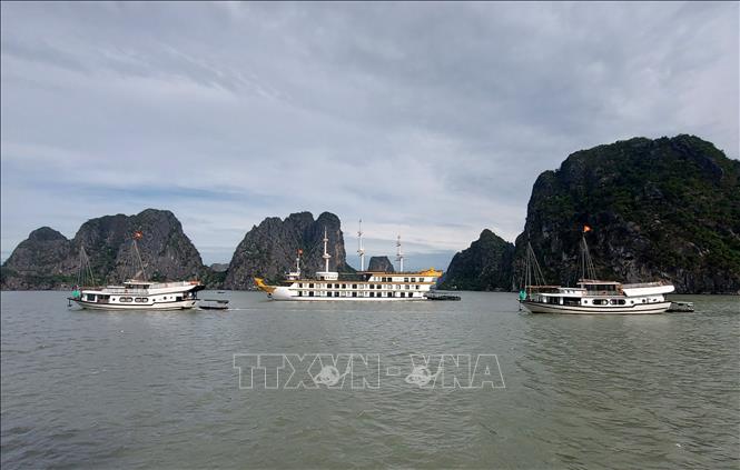 Quảng Ninh: 'Làm sạch' môi trường kinh doanh du lịch - Ảnh 1. Quảng Ninh: 'Làm sạch' môi trường kinh doanh du lịch - Ảnh 1.