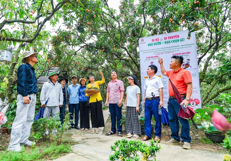 Du lịch Hải Phòng định hình lại bản sắc và vị thế - Ảnh 3. Du lịch Hải Phòng định hình lại bản sắc và vị thế - Ảnh 3.