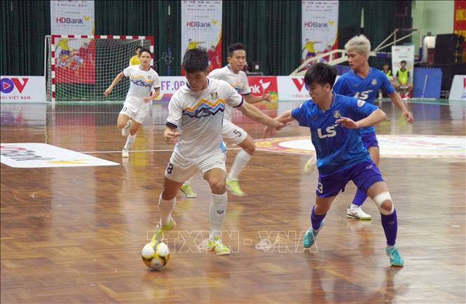 Thái Sơn Bắc vô địch giải Futsal HDBank Cúp quốc gia 2025 - Ảnh 1. Thái Sơn Bắc vô địch giải Futsal HDBank Cúp quốc gia 2025 - Ảnh 1.