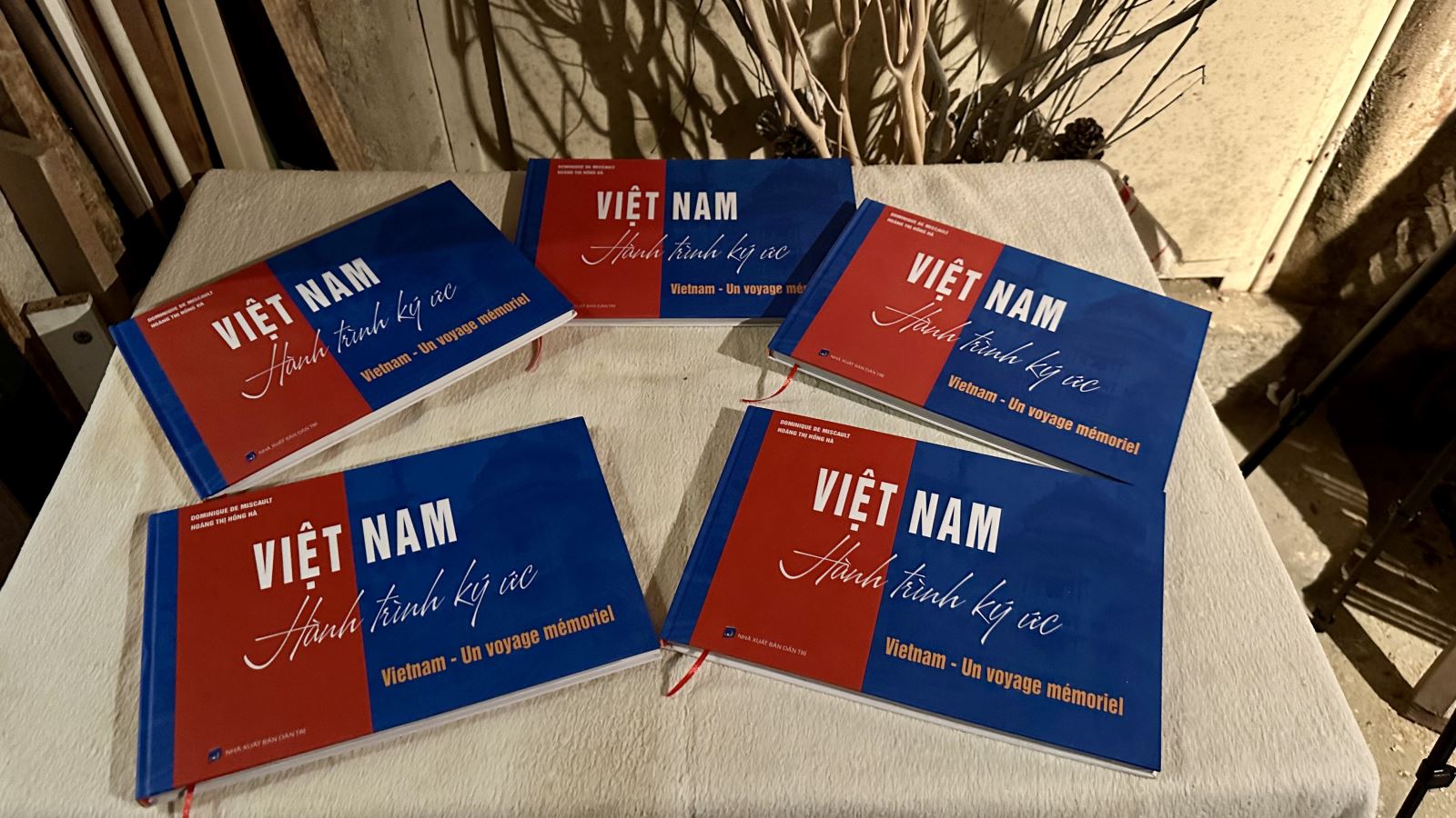 'Việt Nam - Hành trình ký ức' - Tác phẩm nghệ thuật kết nối hai nền văn hóa Pháp - Việt - Ảnh 3.
