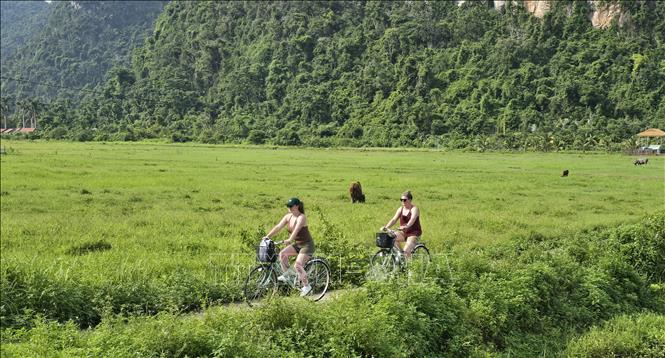 Hải Phòng: Ngôi làng giữa biển khơi được công nhận điểm du lịch cộng đồng  - Ảnh 3.
