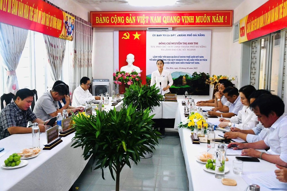 Đà Nẵng: Tập trung triển khai nhiệm vụ lập quy hoạch bảo tồn, phục hồi Khu đền tháp Mỹ Sơn đến năm 2035 - Ảnh 1.