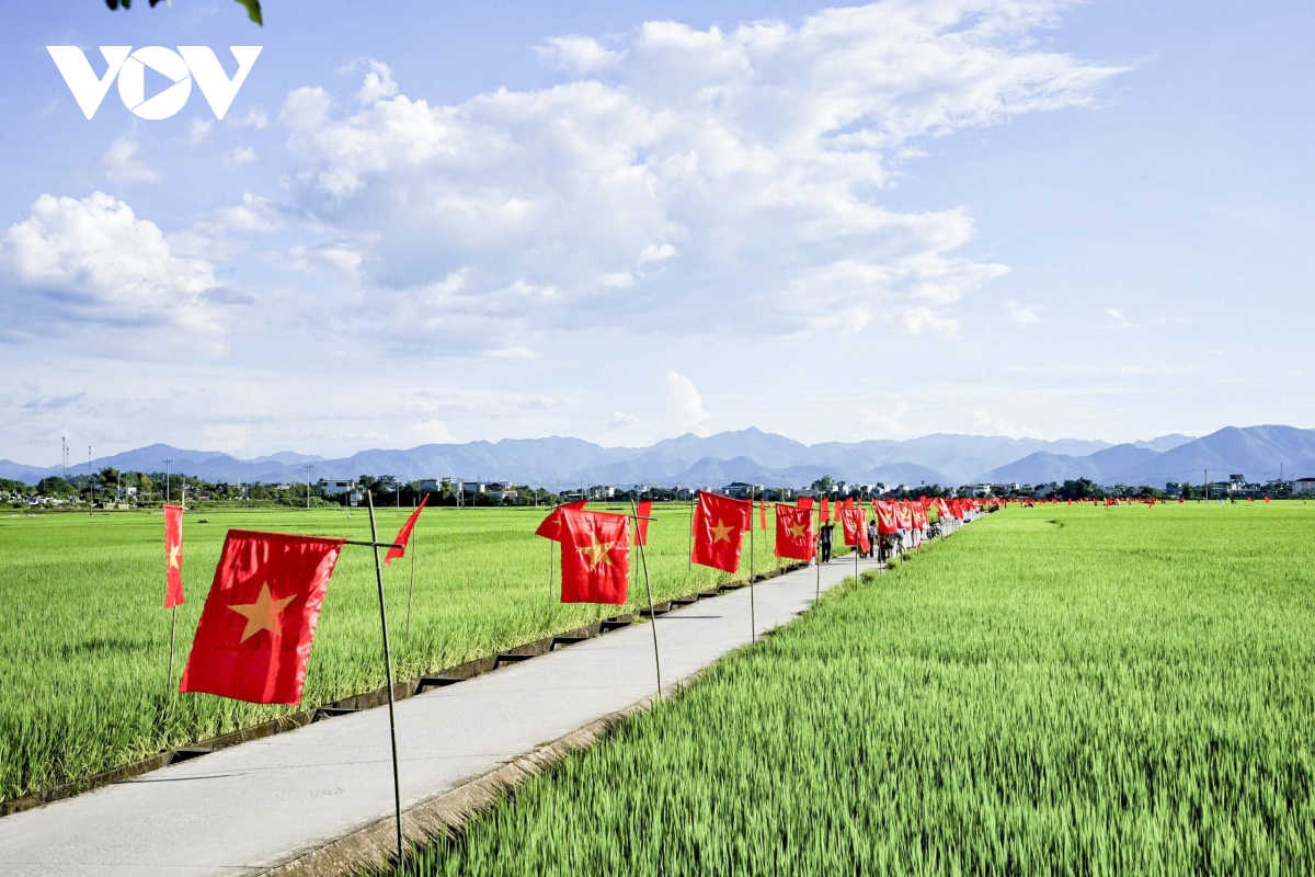 Điện Biên: Rực rỡ “con đường cờ Tổ quốc” giữa cánh đồng Mường Thanh chào mừng Quốc khánh 2/9 - Ảnh 3. Điện Biên: Rực rỡ “con đường cờ Tổ quốc” giữa cánh đồng Mường Thanh chào mừng Quốc khánh 2/9 - Ảnh 3.