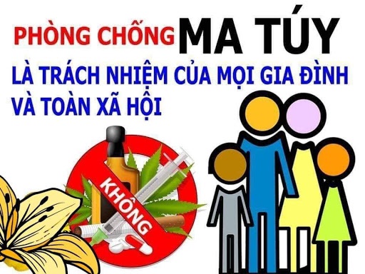 Tăng cường công tác phòng, chống ma túy trong tình hình mới - Ảnh 1.