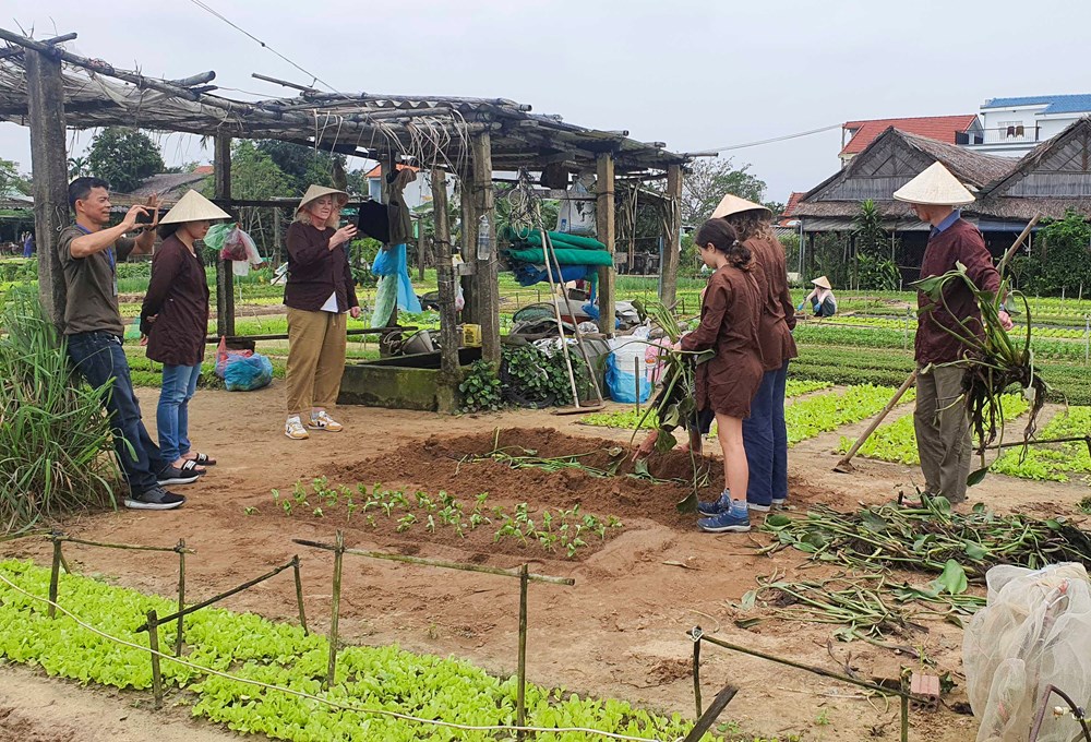 Du lịch Việt Nam siết chuẩn chứng nhận bền vững - Ảnh 2. Du lịch Việt Nam siết chuẩn chứng nhận bền vững - Ảnh 2.