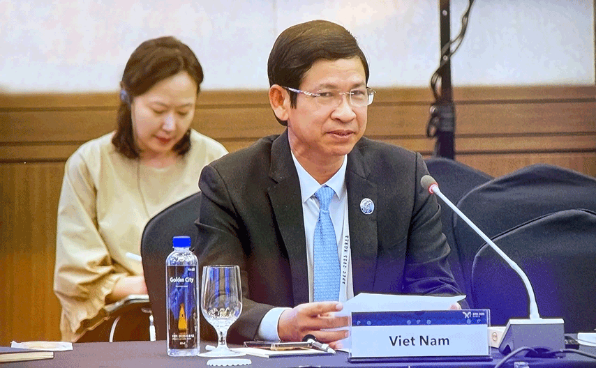 Văn hóa – Động lực hợp tác mới trong APEC - Ảnh 4. Văn hóa – Động lực hợp tác mới trong APEC - Ảnh 4.