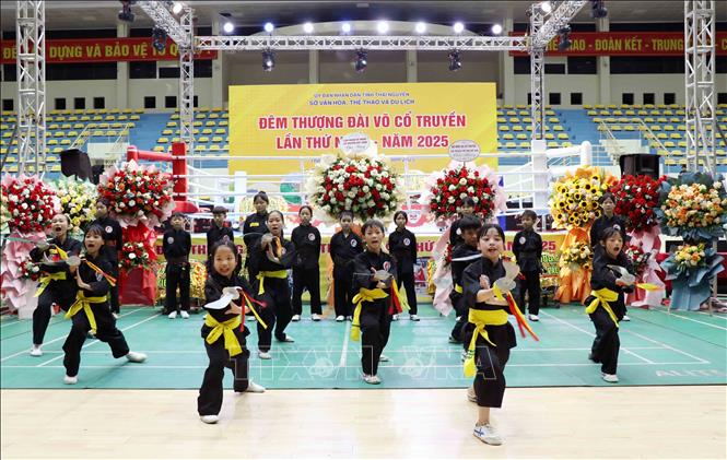 Đêm thượng đài - tôn vinh tinh thần thượng võ Việt Nam - Ảnh 2. Đêm thượng đài - tôn vinh tinh thần thượng võ Việt Nam - Ảnh 2.