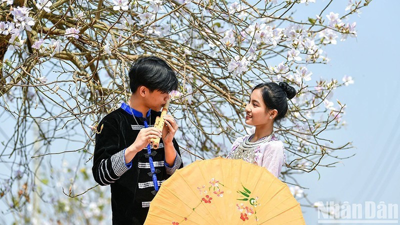 Định hình hình ảnh Việt Nam trên trường quốc tế - Ảnh 1.