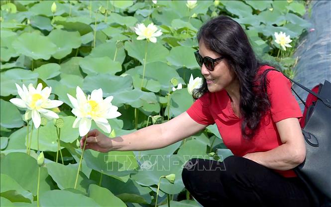 Hưng Yên: Mở lối phát triển nông nghiệp gắn với du lịch trải nghiệm - Ảnh 2. Hưng Yên: Mở lối phát triển nông nghiệp gắn với du lịch trải nghiệm - Ảnh 2.
