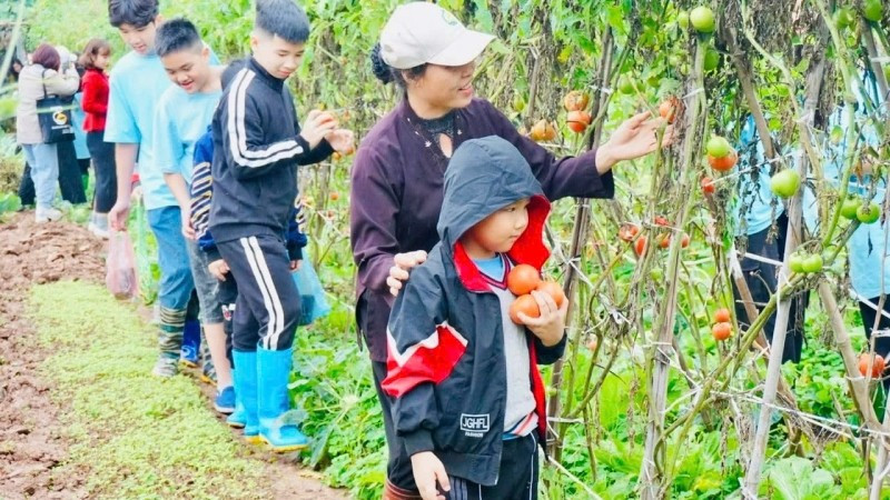 Định hình thương hiệu du lịch xanh - Ảnh 1.