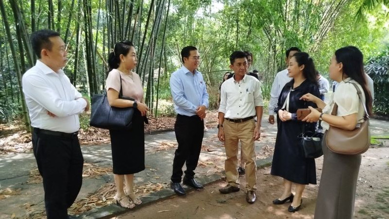 Xem xét trùng tu, sửa chữa nhằm hạn chế sự xuống cấp các di tích ở Thành phố Hồ Chí Minh - Ảnh 4.