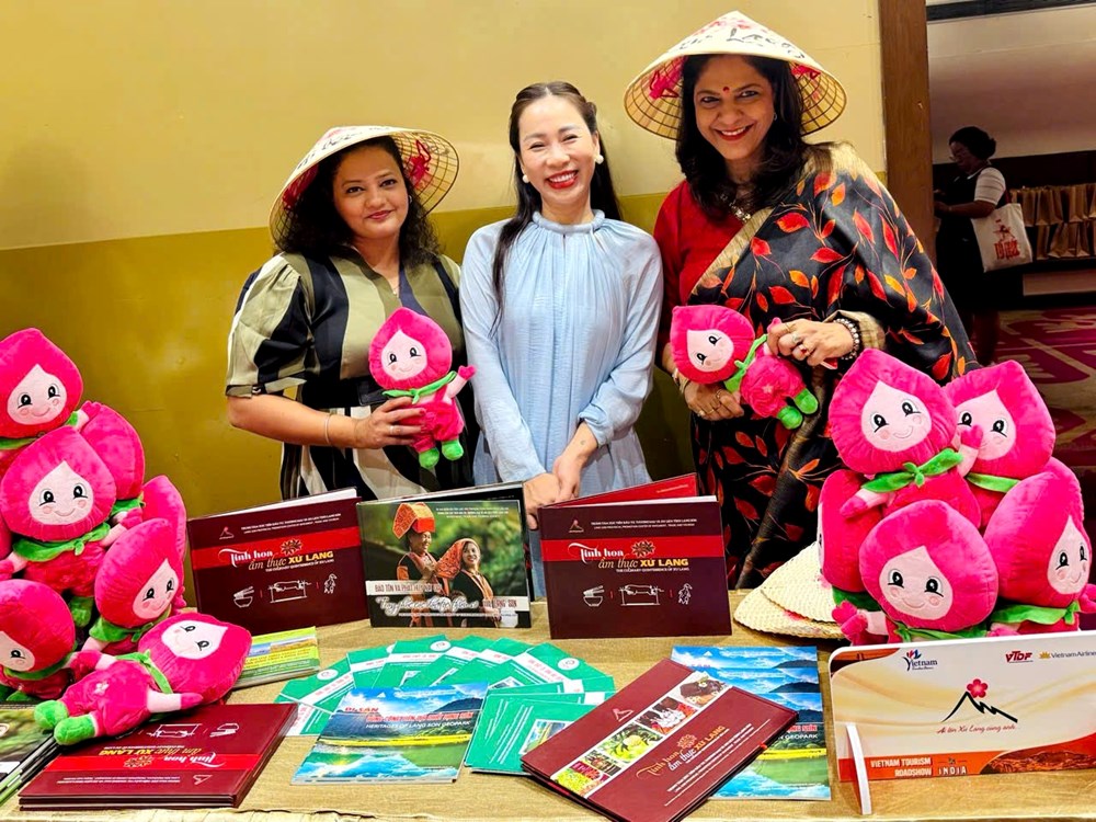 Lạng Sơn quảng bá du lịch tại Ấn Độ: Cơ hội từ thị trường giàu tiềm năng - Ảnh 4.