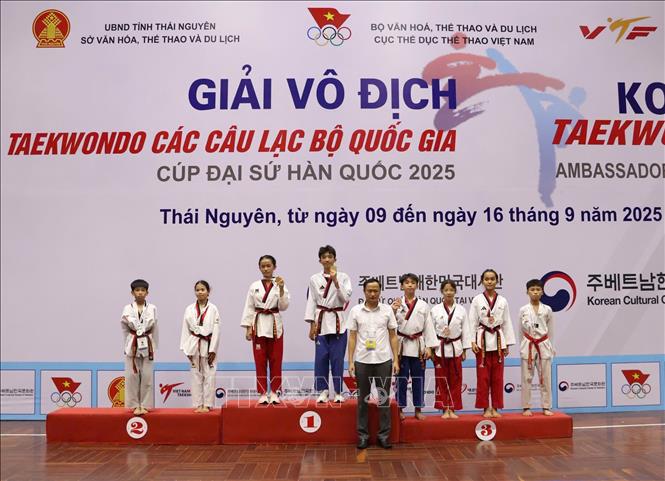 Thái Nguyên: Khai mạc Giải vô địch Taekwondo các câu lạc bộ quốc gia - Cúp Đại sứ Hàn Quốc năm 2025 - Ảnh 2.