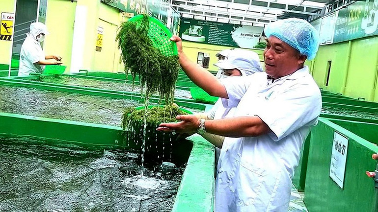 Lâm Đồng: Lợi thế mới từ du lịch y tế - Ảnh 2. Lâm Đồng: Lợi thế mới từ du lịch y tế - Ảnh 2.