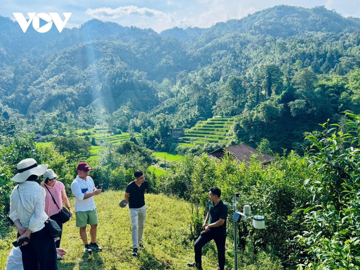 Bay dù lượn ngắm ruộng bậc thang mùa lúa chín tại Thông Nguyên, Tuyên Quang - Ảnh 1. Bay dù lượn ngắm ruộng bậc thang mùa lúa chín tại Thông Nguyên, Tuyên Quang - Ảnh 1.