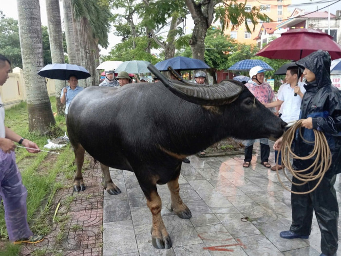 Lan tỏa giá trị lễ hội và di sản, thúc đẩy du lịch Hải Phòng - Ảnh 2.