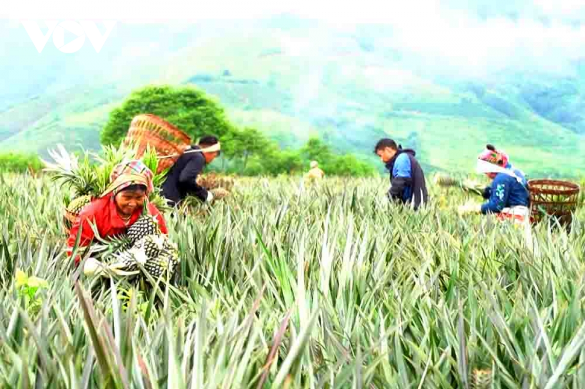 Du lịch Lai Châu kỳ vọng “cất cánh” từ những bản làng xanh - Ảnh 2. Du lịch Lai Châu kỳ vọng “cất cánh” từ những bản làng xanh - Ảnh 2.