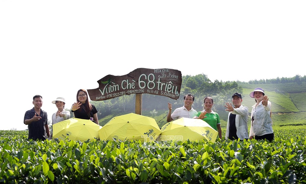 Thái Nguyên: Từ thủ phủ trà xanh đến trung tâm du lịch thể thao - Ảnh 1. Thái Nguyên: Từ thủ phủ trà xanh đến trung tâm du lịch thể thao - Ảnh 1.