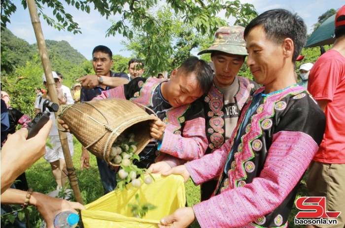Khẳng định thương hiệu Du lịch Sơn La - Ảnh 5. Khẳng định thương hiệu Du lịch Sơn La - Ảnh 5.
