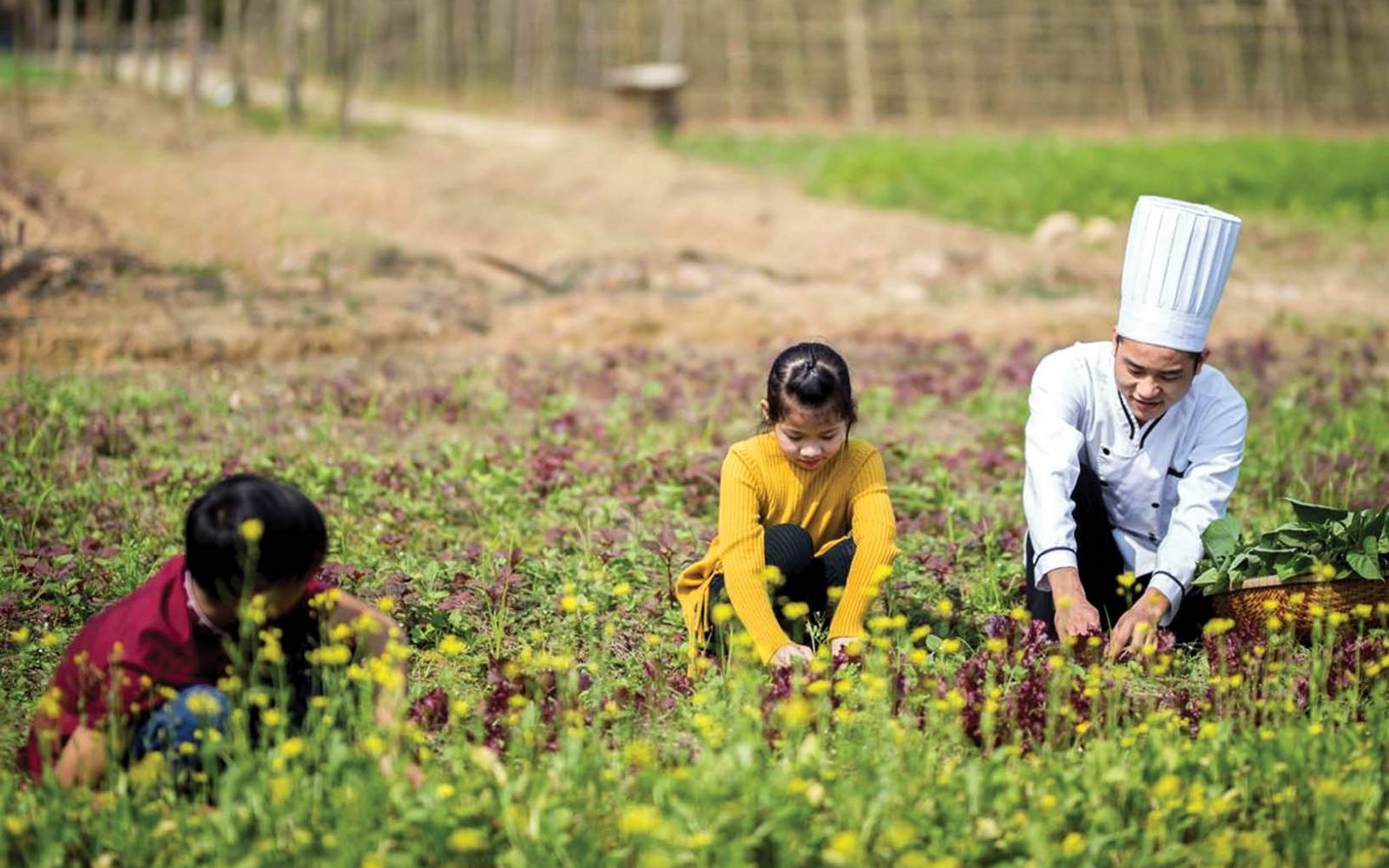 Trả lời kiến nghị của cử tri thành phố Hải Phòng về việc điều chỉnh loại hình du lịch farmstay