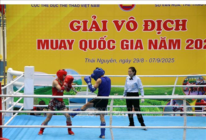 Thái Nguyên: Khai mạc Giải vô địch Muay quốc gia năm 2025 - Ảnh 2. Thái Nguyên: Khai mạc Giải vô địch Muay quốc gia năm 2025 - Ảnh 2.