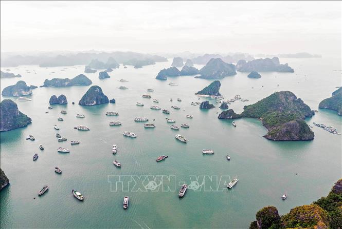 Quảng Ninh: Tặng 1.000 vé du thuyền tham quan vịnh Hạ Long tri ân người giữ nước - Ảnh 1. Quảng Ninh: Tặng 1.000 vé du thuyền tham quan vịnh Hạ Long tri ân người giữ nước - Ảnh 1.