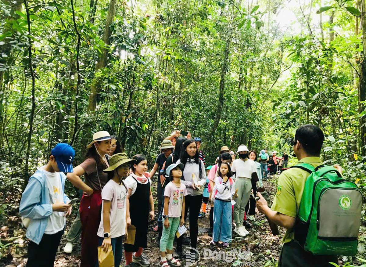 Khu Bảo tồn Thiên nhiên - Văn hóa Đồng Nai được công nhận Công viên di sản ASEAN - Ảnh 8.