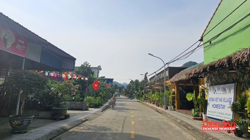 Hải Phòng khai thác du lịch cộng đồng vì mục tiêu phát triển bền vững - Ảnh 3. Hải Phòng khai thác du lịch cộng đồng vì mục tiêu phát triển bền vững - Ảnh 3.