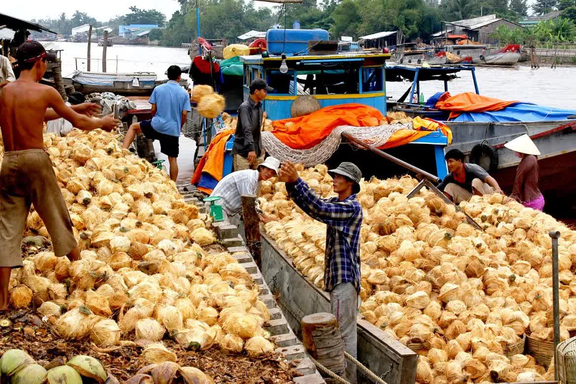 Vĩnh Long: tăng tốc phát triển du lịch dựa vào tiềm năng, thế mạnh - Ảnh 1.