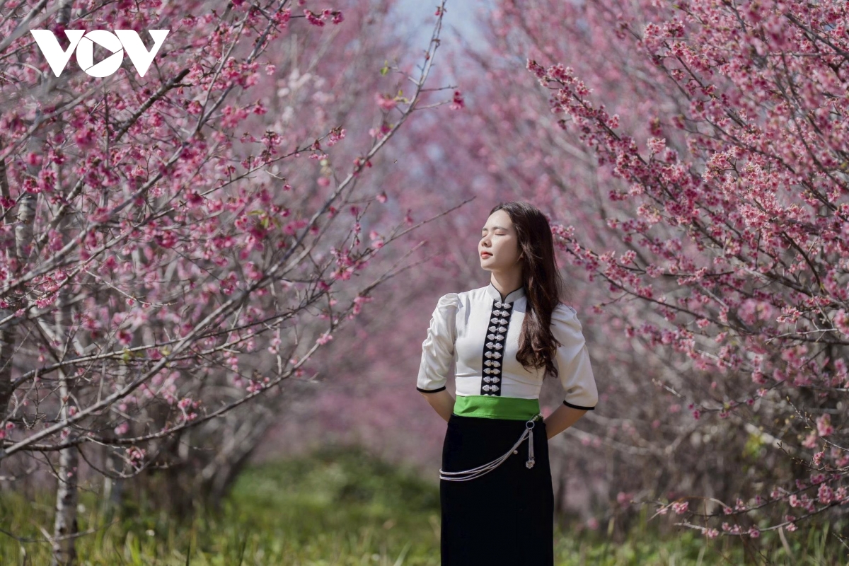 Điện Biên đổi mới cách làm du lịch, tạo bứt phá cho năm 2026 - Ảnh 3.