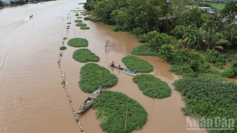 An Giang kỳ vọng tăng trưởng từ du lịch - Ảnh 4.