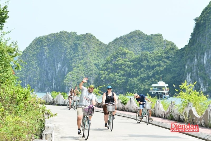 Hải Phòng: Phát triển du lịch xanh vì mục tiêu bền vững - Ảnh 2.