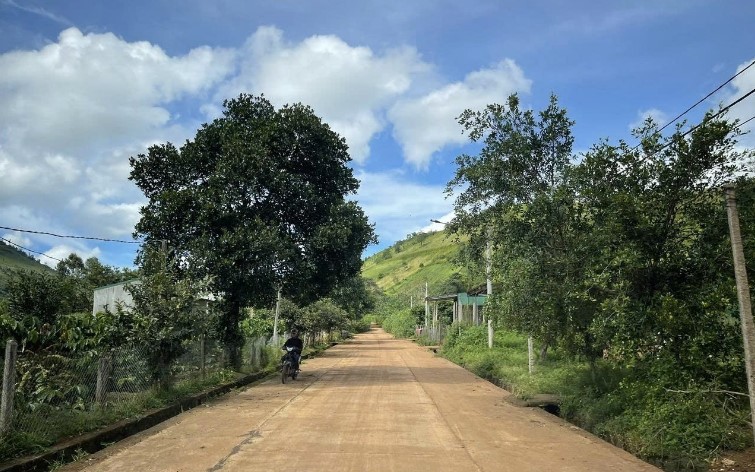 Tây Ninh đẩy mạnh cuộc vận động "Toàn dân đoàn kết xây dựng nông thôn mới, đô thị văn minh"