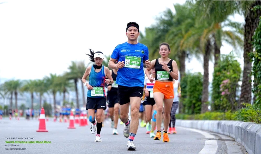 Du lịch thể thao và vai trò dẫn dắt của Quảng Ninh trong hệ sinh thái quốc gia - Ảnh 2. Du lịch thể thao và vai trò dẫn dắt của Quảng Ninh trong hệ sinh thái quốc gia - Ảnh 2.