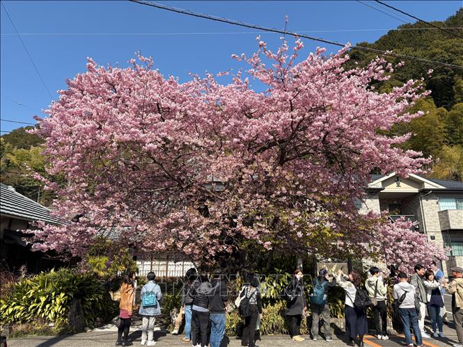 Nhật Bản: Lượng khách quốc tế năm 2025 lập kỷ lục mới - Ảnh 1.