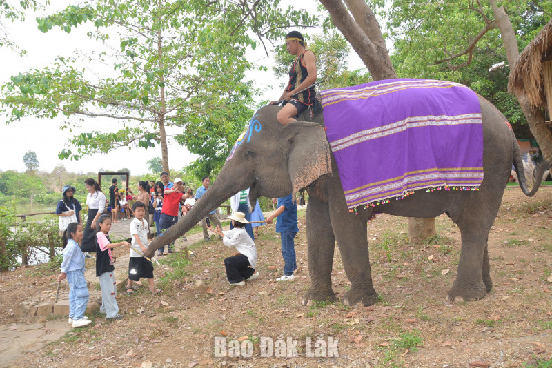 Đắk Lắk đặt mục tiêu thu 16.000 tỷ đồng từ du lịch năm 2026 - Ảnh 1. Đắk Lắk đặt mục tiêu thu 16.000 tỷ đồng từ du lịch năm 2026 - Ảnh 1.