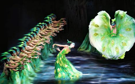 Vở vũ kịch “Khổng tước” của nghệ sĩ Dương Lệ Bình lần đầu được công diễn tại Hà Nội