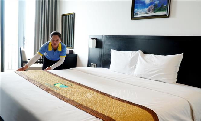 Đặc khu Lý Sơn sẵn sàng đón du khách dịp Tết Nguyên đán Bính Ngọ - Ảnh 2. Đặc khu Lý Sơn sẵn sàng đón du khách dịp Tết Nguyên đán Bính Ngọ - Ảnh 2.