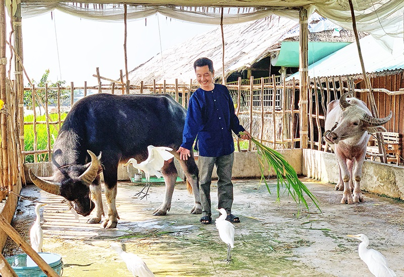 Cần Thơ thu hút du khách quốc tế bằng bản sắc văn hóa - Ảnh 1. Cần Thơ thu hút du khách quốc tế bằng bản sắc văn hóa - Ảnh 1.