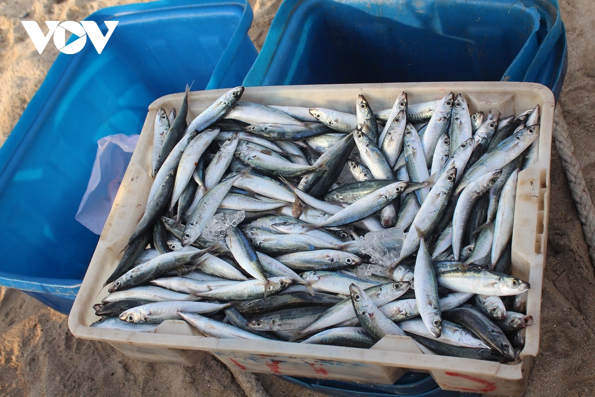 Lâm Đồng đề nghị đưa nước mắm Phan Thiết vào danh mục di sản văn hóa phi vật thể quốc gia - Ảnh 2. Lâm Đồng đề nghị đưa nước mắm Phan Thiết vào danh mục di sản văn hóa phi vật thể quốc gia - Ảnh 2.