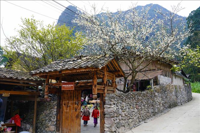 Du lịch Việt Nam năm 2025: Dấu mốc bứt phá, khẳng định vị thế mới - Ảnh 2. Du lịch Việt Nam năm 2025: Dấu mốc bứt phá, khẳng định vị thế mới - Ảnh 2.