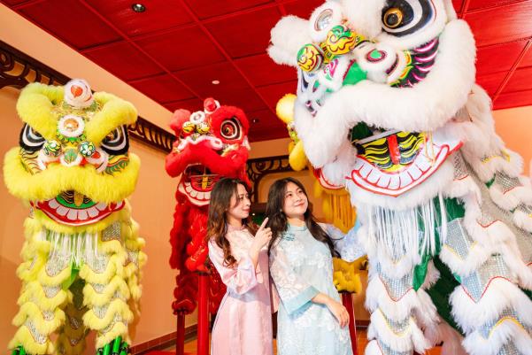 Hàng nghìn du khách choáng ngợp với biển hoa tulip trên đỉnh Bà Nà dịp Tết 2026 - Ảnh 9. Hàng nghìn du khách choáng ngợp với biển hoa tulip trên đỉnh Bà Nà dịp Tết 2026 - Ảnh 9.